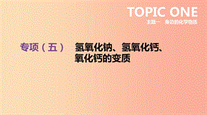 河北省2019年中考化學復習主題一身邊的化學物質(zhì)專項五氫氧化鈉氫氧化鈣氧化鈣的變質(zhì)課件.ppt