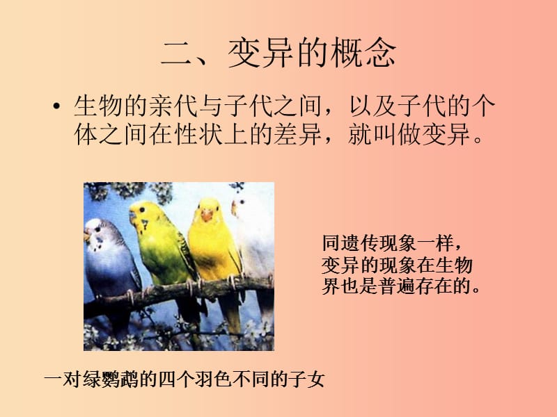 河南省八年级生物下册 7.2.5 生物的变异课件 新人教版.ppt_第3页