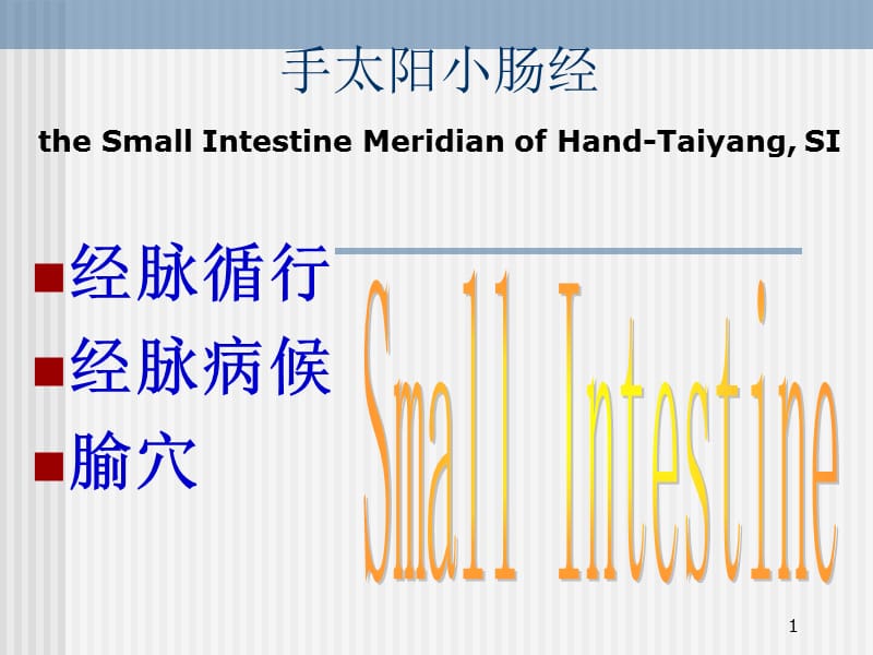 医学文库网经络腧穴学手太阳小肠经ppt课件_第1页