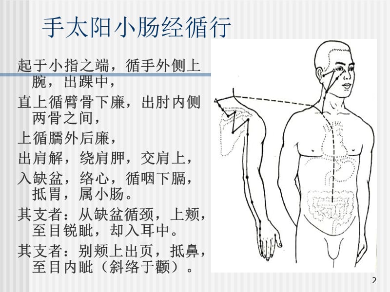 医学文库网经络腧穴学手太阳小肠经ppt课件_第2页