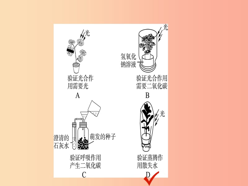 山东省淄博市2019中考生物专题四复习课件.ppt_第3页