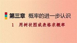 九年級(jí)數(shù)學(xué)上冊(cè) 第三章 概率的進(jìn)一步認(rèn)識(shí) 3.1 用樹(shù)狀圖或表格求概率 第1課時(shí) 用樹(shù)狀圖或表格求概率 .ppt