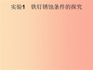 （課標通用）安徽省2019年中考化學總復習 實驗1 鐵釘銹蝕條件的探究課件.ppt