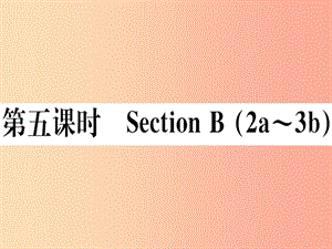 （玉林專版）2019秋七年級(jí)英語上冊(cè) Unit 2 This is my sister（第5課時(shí)）新人教 新目標(biāo)版.ppt