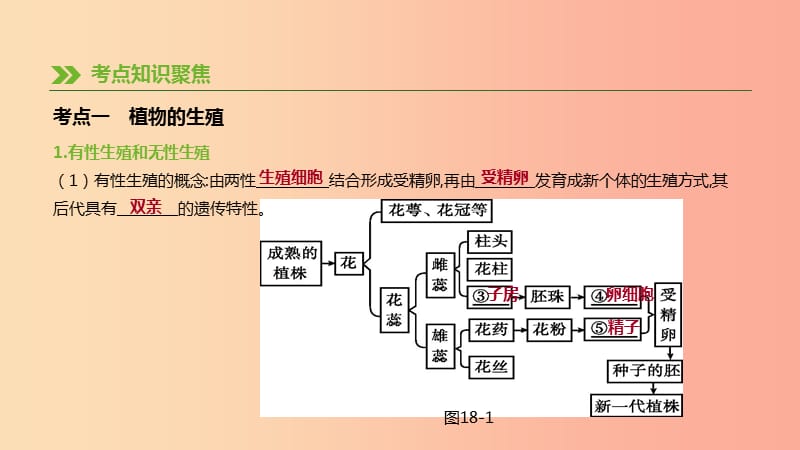 内蒙古包头市2019年中考生物第六单元生命的延续和发展第18课时生物的生殖和发育复习课件.ppt_第3页