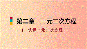 九年級數(shù)學(xué)上冊 第二章 一元二次方程 1 認(rèn)識一元二次方程 第1課時 認(rèn)識一元二次方程習(xí)題課件 北師大版.ppt