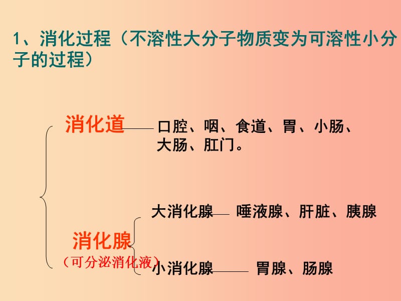 安徽省七年级生物下册4.2.2消化和吸收课件1 新人教版.ppt_第2页