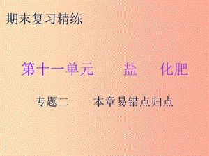 2019秋九年級(jí)化學(xué)下冊(cè) 期末復(fù)習(xí)精煉 第十一單元 鹽 化肥 專題二 本章易錯(cuò)點(diǎn)歸點(diǎn)課件 新人教版.ppt