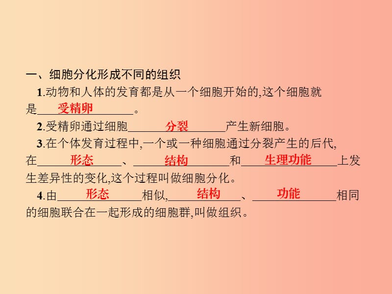 七年级生物上册2.2.2动物体的结构层次课件新人教版.ppt_第2页