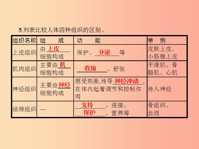 七年级生物上册2.2.2动物体的结构层次课件新人教版.ppt_第3页