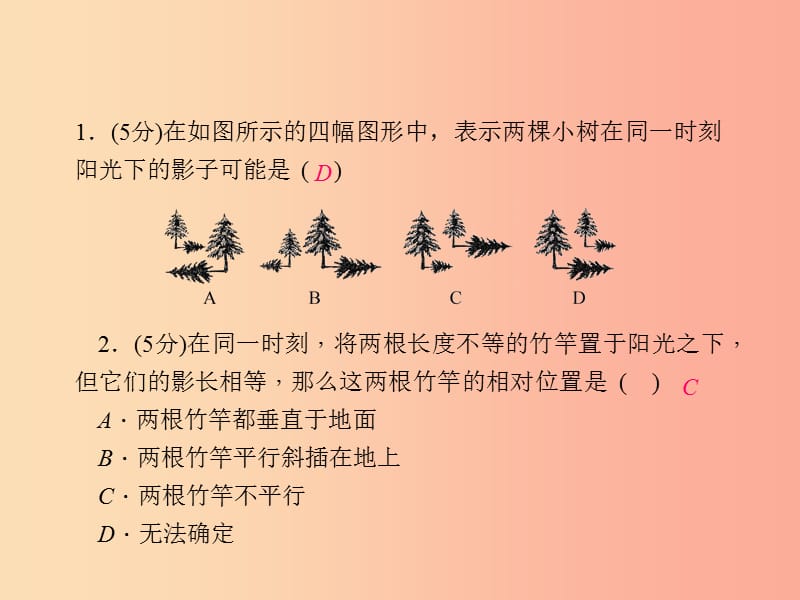 2019年秋九年级数学下册 第三章 投影与三视图 3.1 投影（第1课时）a课件（新版）浙教版.ppt_第2页