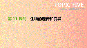 廣東省2019年中考生物 主題復(fù)習(xí)六 生物的生殖、發(fā)育和遺傳、變異 第11課時(shí) 生物的遺傳和變異課件.ppt