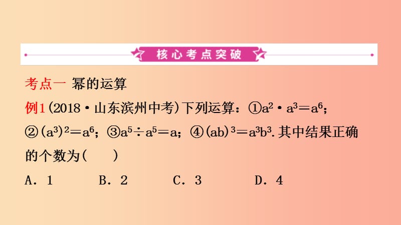 浙江省2019年中考数学复习 第一章 数与式 第三节 整式及其运算课件.ppt_第2页