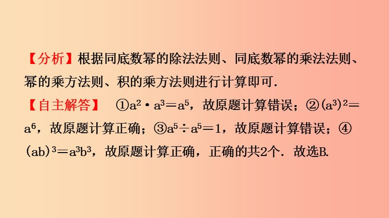 浙江省2019年中考数学复习 第一章 数与式 第三节 整式及其运算课件.ppt_第3页