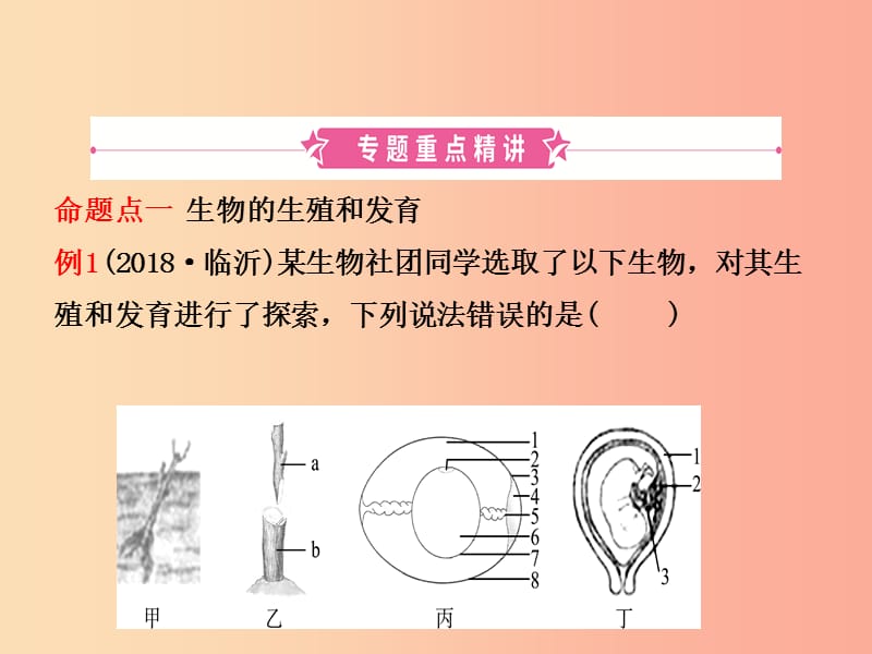 （江西专版）2019中考生物 第2部分 专题八 生物的生殖、发育与遗传复习课件.ppt_第2页