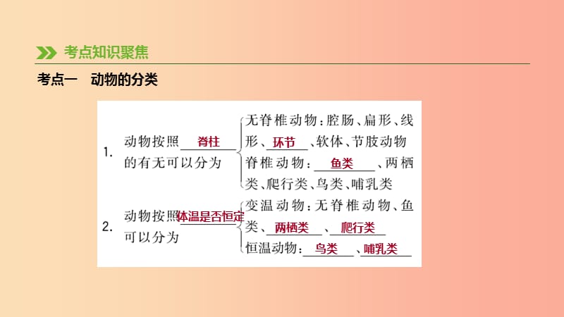 内蒙古包头市2019年中考生物 第五单元 生物圈中的其他生物 第14课时 动物的主要类群复习课件.ppt_第3页