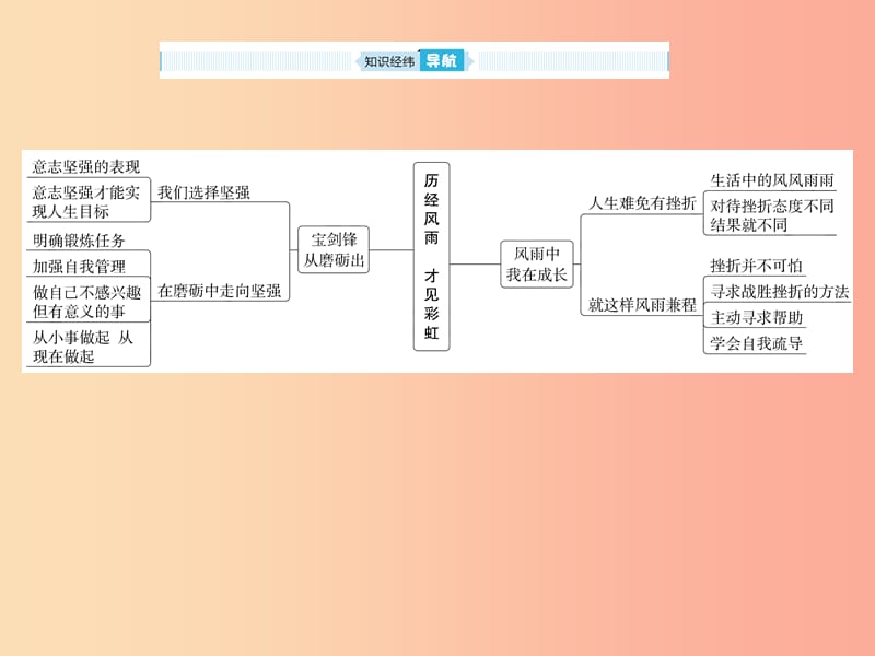 山东省2019年中考道德与法治 第四单元 历经风雨 才见彩虹课件.ppt_第2页