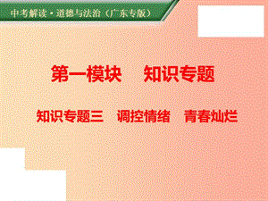 （廣東專版）2019年中考道德與法治解讀總復(fù)習(xí) 知識專題三 調(diào)控情緒 青春燦爛課件.ppt