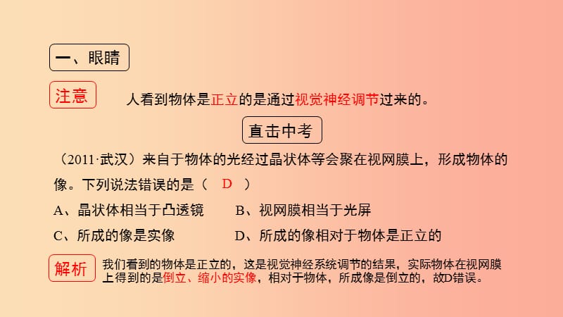 八年级物理上册 3.7《眼睛与光学仪器》第一课时考点方法课件 （新版）粤教沪版.ppt_第2页