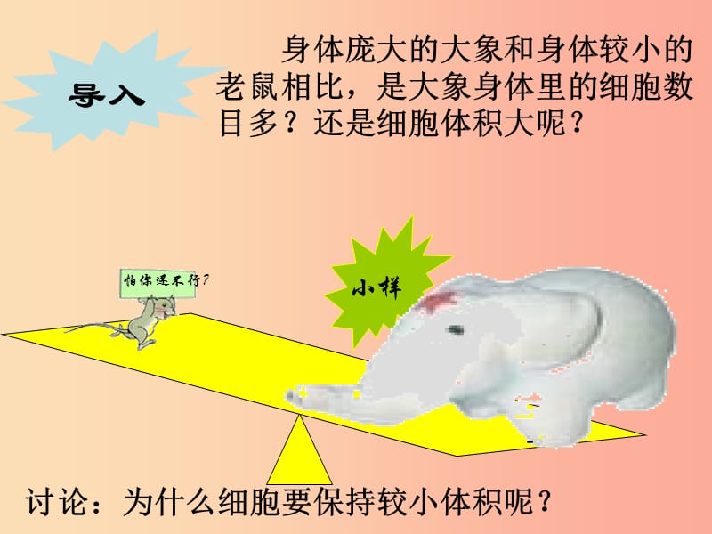 七年级生物上册2.3.3细胞通过分裂而增殖课件1新版北师大版.ppt_第3页