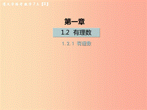 （遵義專版）2019年七年級數(shù)學上冊 第一章 有理數(shù) 1.2 有理數(shù) 1.2.1 有理數(shù)課后作業(yè)課件 新人教版.ppt