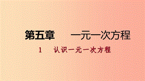 七年級數(shù)學(xué)上冊 第五章 一元一次方程 5.1 認(rèn)識一元一次方程 5.1.2 等式的基本性質(zhì)練習(xí)課件 北師大版.ppt