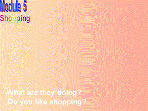 天津市七年級(jí)英語(yǔ)下冊(cè) Module 5 Shopping Unit 1 What can do for you課件（新版）外研版.ppt