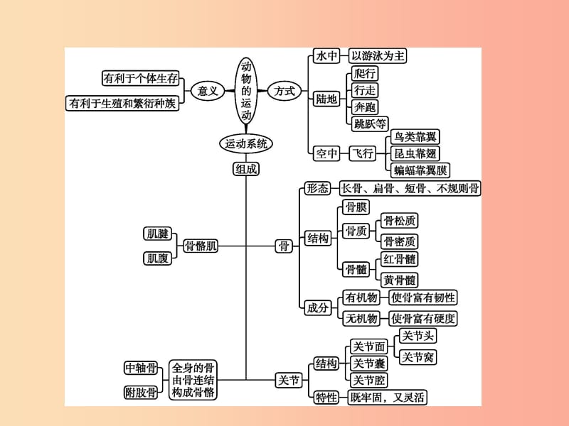 八年级生物上册 第15章 动物的运动整合课件 （新版）北师大版.ppt_第2页