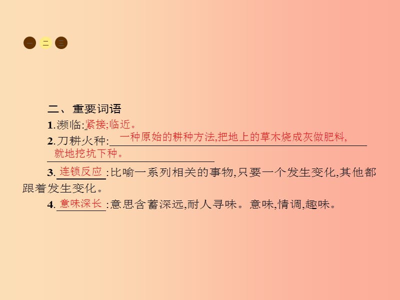 八年级语文上册 第五单元 18 雨林的毁灭 世界性灾难课件 语文版.ppt_第3页