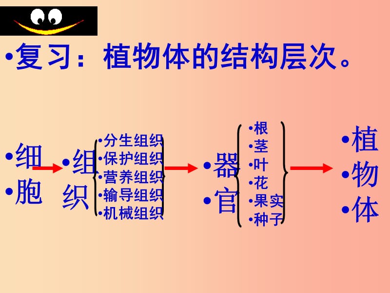 陕西省七年级生物上册 2.2.4第四节单细胞生物课件 新人教版.ppt_第2页