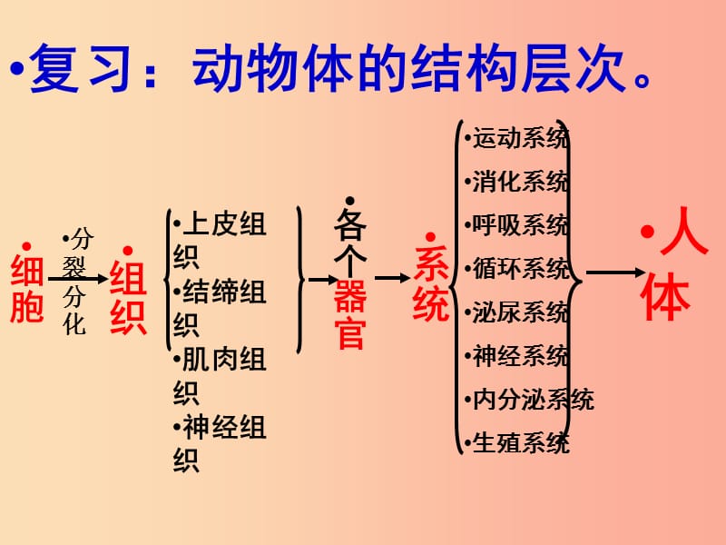 陕西省七年级生物上册 2.2.4第四节单细胞生物课件 新人教版.ppt_第3页