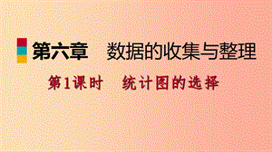 七年級數(shù)學(xué)上冊 第六章 數(shù)據(jù)的收集與整理 6.4 統(tǒng)計圖的選擇 6.4.1 統(tǒng)計圖的選擇導(dǎo)學(xué)課件 北師大版.ppt