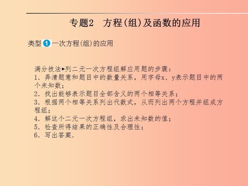 山东省泰安市2019年中考数学专题复习 专题2 方程（组）及函数的应用课件.ppt_第1页