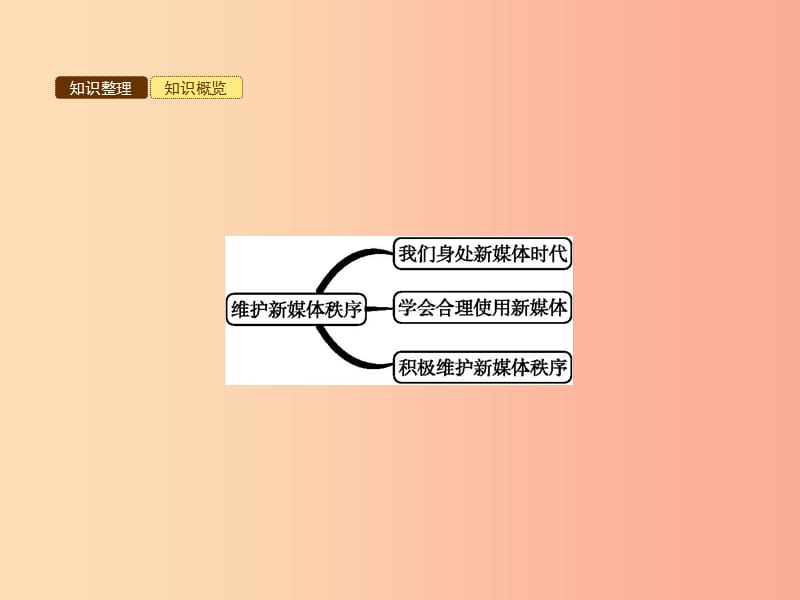 八年级道德与法治上册 第四单元 承担社会责任 第10课 维护公共秩序 第3站 维护媒体新秩序课件 北师大版.ppt_第3页