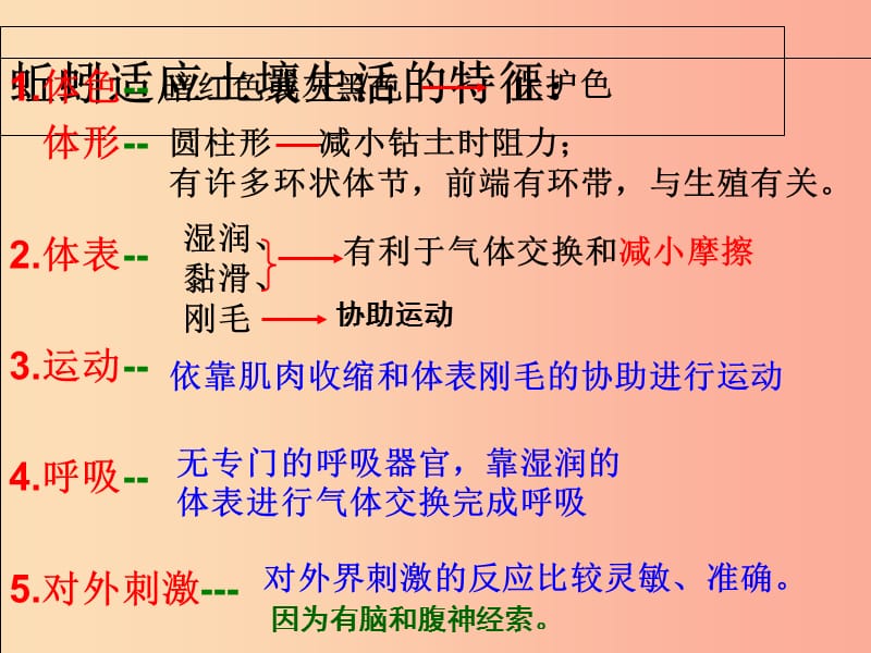 江苏省七年级生物下册 13.2 土壤里的微生物课件（新版）苏科版.ppt_第1页