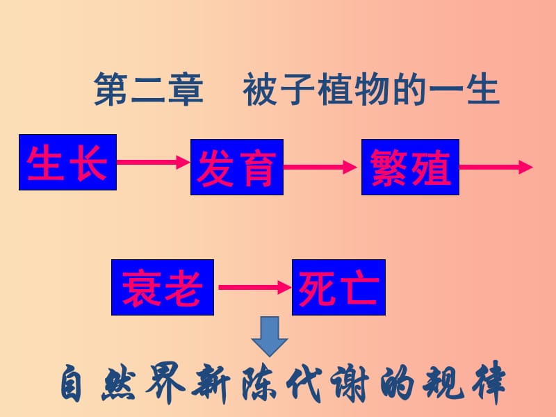 辽宁省凌海市2019年七年级生物上册 3.2.1种子的萌发课件 新人教版.ppt_第1页