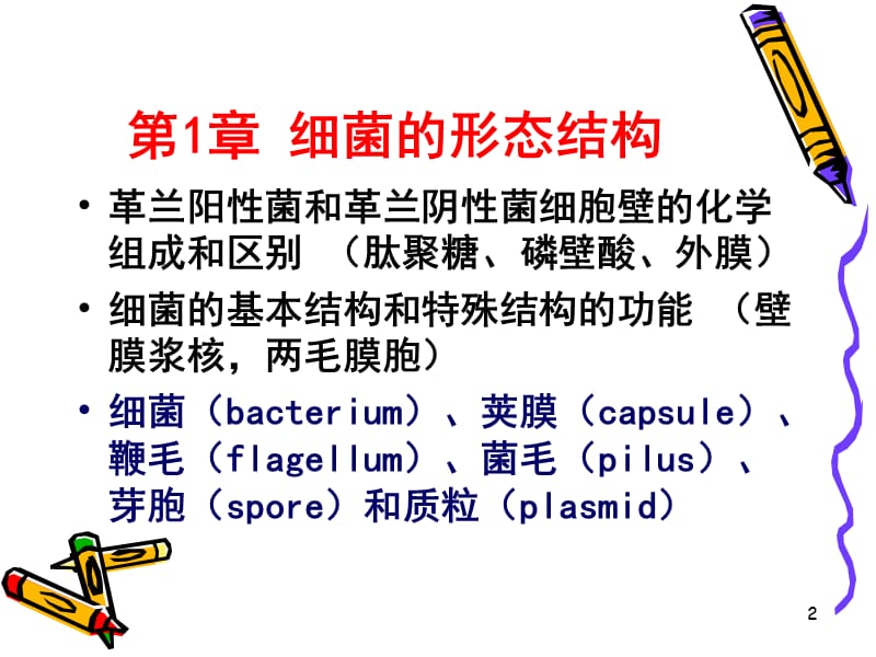 医学微生物总复习ppt课件_第2页