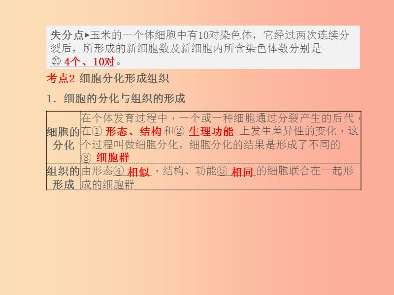 山东省青岛市2019年中考生物总复习 第二单元 生物体的结构层次 第二章 细胞怎样构成生物体课件.ppt_第2页