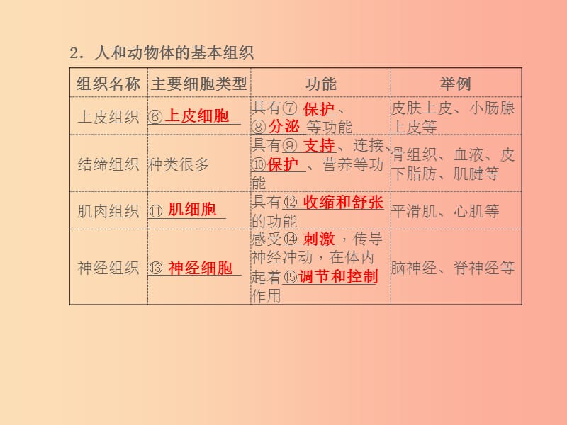 山东省青岛市2019年中考生物总复习 第二单元 生物体的结构层次 第二章 细胞怎样构成生物体课件.ppt_第3页