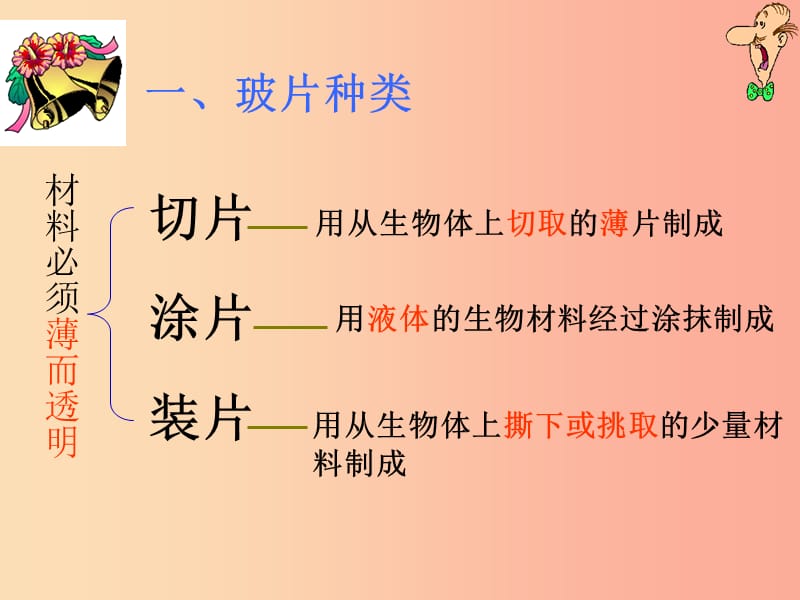 安徽省七年级生物上册2.1.2植物细胞课件1 新人教版.ppt_第3页