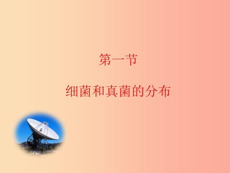 七年级生物下册 6.1.1《细菌和真菌的分布》课件3 鲁科版五四制.ppt_第1页