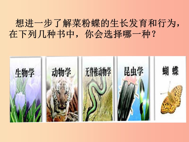 吉林省八年级生物上册 6.1.1 尝试对生物进行分类课件 新人教版.ppt_第3页