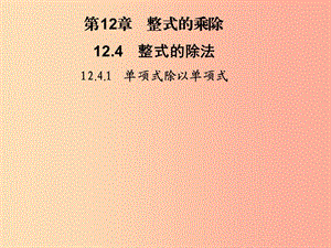 2019秋八年級數(shù)學(xué)上冊 第12章 整式的乘除 12.4 整式的除法 12.4.1 單項(xiàng)式除以單項(xiàng)式習(xí)題課件 華東師大版.ppt