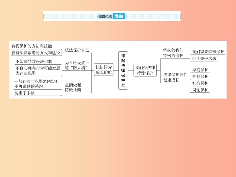 山东省2019年中考道德与法治 第九单元 撑起法律保护伞课件.ppt_第2页