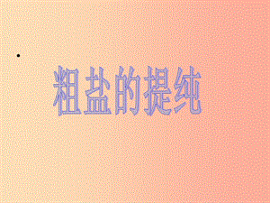 （包頭專用）2019年中考化學(xué) 粗鹽提純課件.ppt