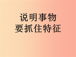 （河南專版）八年級語文上冊 第五單元 說明事物要抓住特征課件 新人教版.ppt