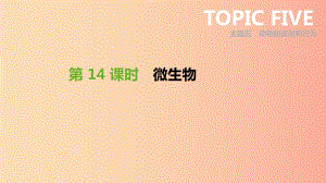 廣東省2019年中考生物 主題復(fù)習(xí)七 生物的多樣性 第14課時 微生物課件.ppt