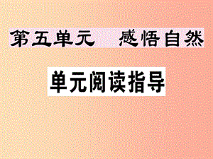 （安徽專版）2019春七年級(jí)語文下冊 第五單元閱讀指導(dǎo)習(xí)題課件 新人教版.ppt