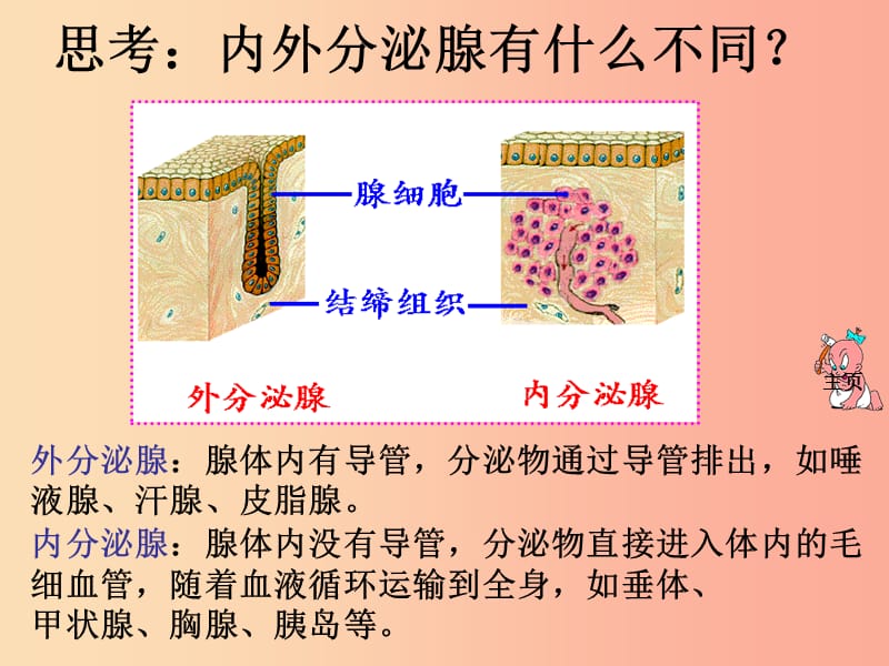 吉林省七年级生物下册 4.6.4 激素调节课件 新人教版.ppt_第3页