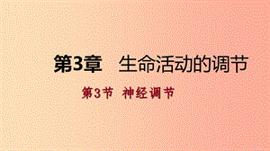 八年級(jí)科學(xué)上冊(cè) 第3章 生命活動(dòng)的調(diào)節(jié) 第3節(jié) 神經(jīng)調(diào)節(jié)練習(xí)課件 （新版）浙教版.ppt